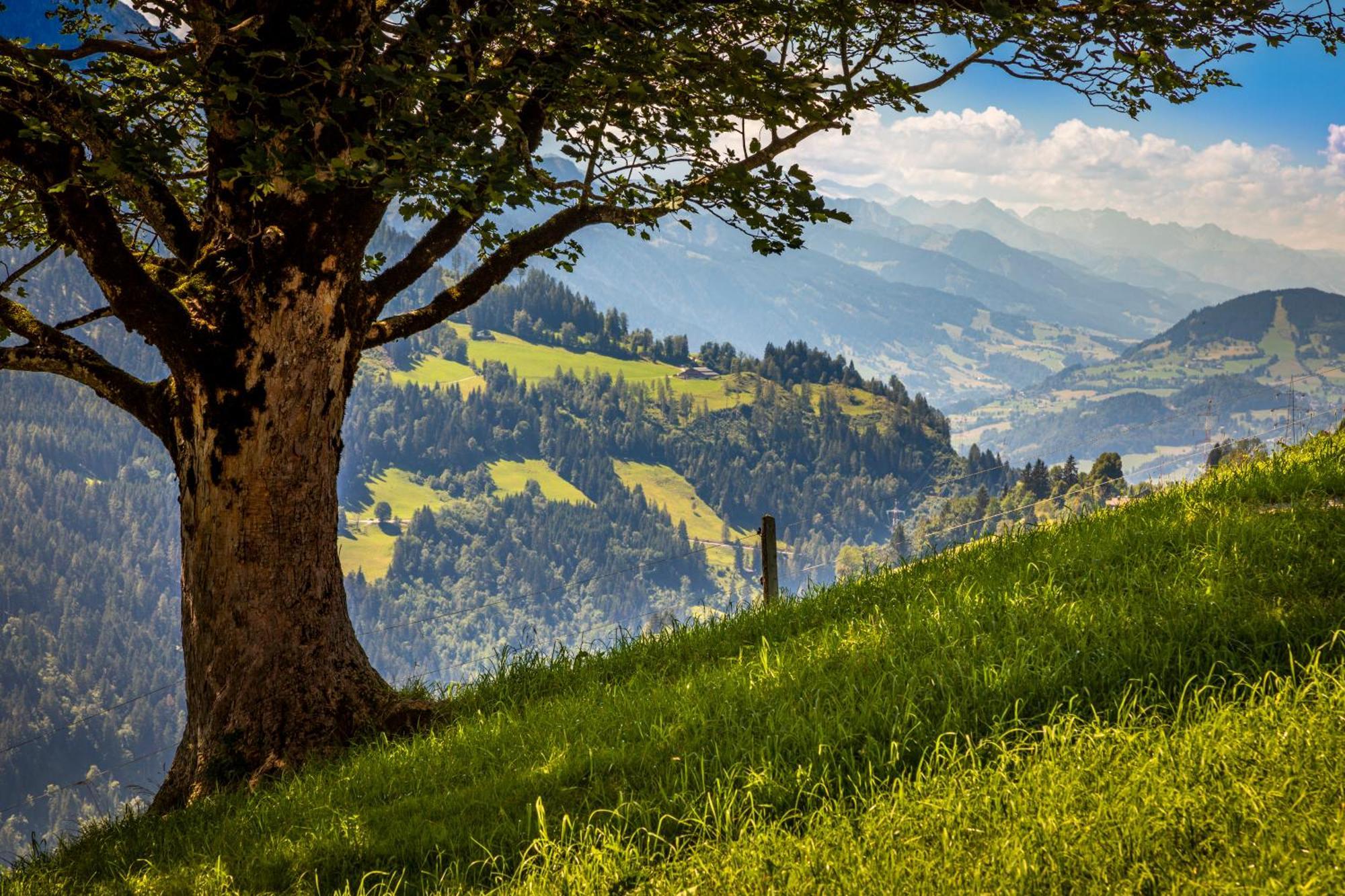 Haus Lindbichl Vila Sankt Johann im Pongau Quarto foto